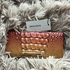 Brahmin Ady Wallet in Horizon Ombré Melbourne